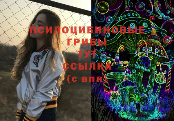 a pvp Гусиноозёрск