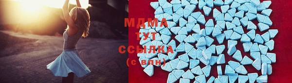 прущие грибы Гусев