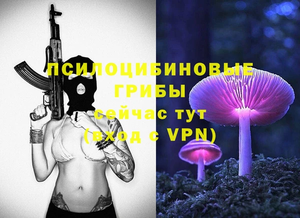 ПСИЛОЦИБИНОВЫЕ ГРИБЫ Гусь-Хрустальный