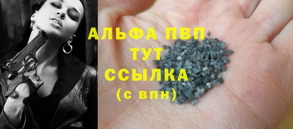 ПСИЛОЦИБИНОВЫЕ ГРИБЫ Гусь-Хрустальный
