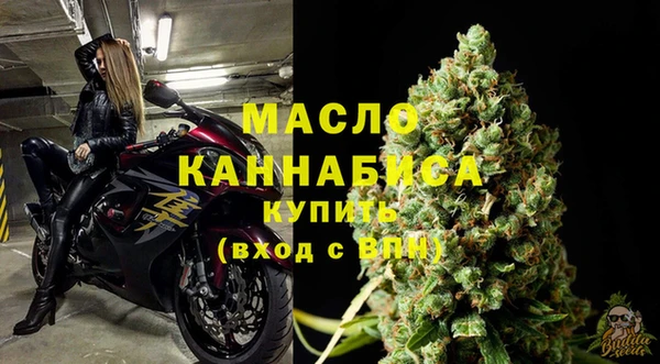 прущие грибы Гусев