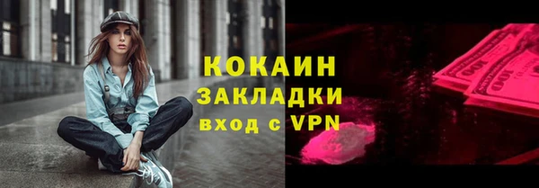 ПСИЛОЦИБИНОВЫЕ ГРИБЫ Гусь-Хрустальный