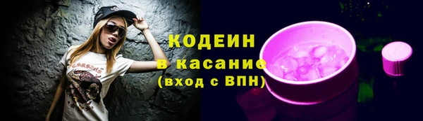 прущие грибы Гусев
