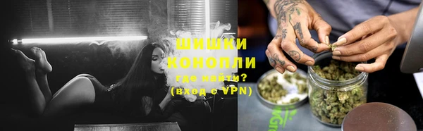 прущие грибы Гусев