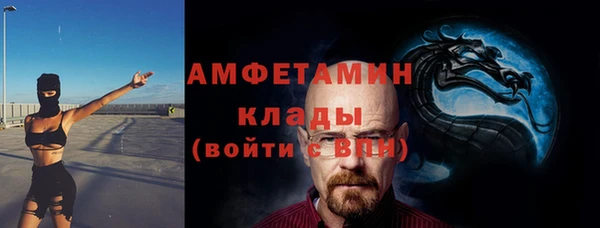 прущие грибы Гусев