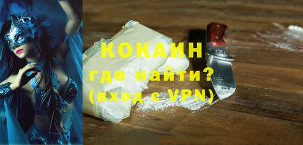 ПСИЛОЦИБИНОВЫЕ ГРИБЫ Гусь-Хрустальный