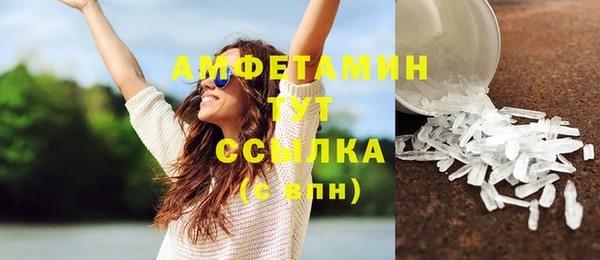 прущие грибы Гусев