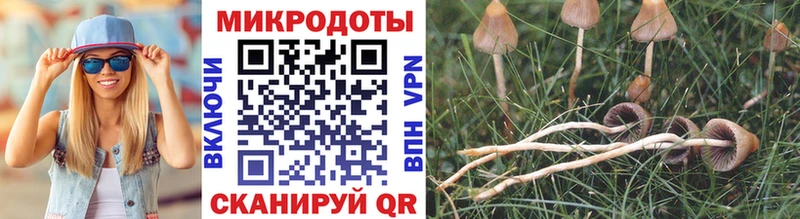 блэк спрут как зайти  Елизаветинская  Галлюциногенные грибы Cubensis 